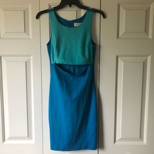 Amanda Uprichard Cutout Dress